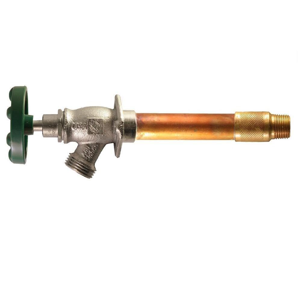 Champion-Arrowhead 1/2 x 3/4 in. F1960 x GHT Wall Hydrant 