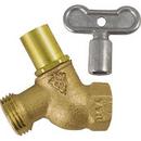 Champion-Arrowhead Brass FIP x Male Hose Thread No Kink Hose Bibb 