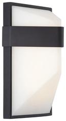 10W 1-Light Outdoor Wall Sconce in Black