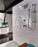 Delta Faucet Chrome Shower Faucet Trim with Double Lever Handle (Trim Only) 