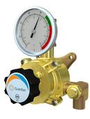 Guardian Equipment Thermostatic Mixing Valve