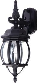 1-Light Wall Lantern in Black