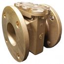 Mars Company 2 in. Bronze Flanged Valve Strainer 