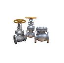 Warren Valve LP 150# RF FLG WCB T8 Swing Check Valve Carbon Steel Body, Trim 8, Bolted Cover 