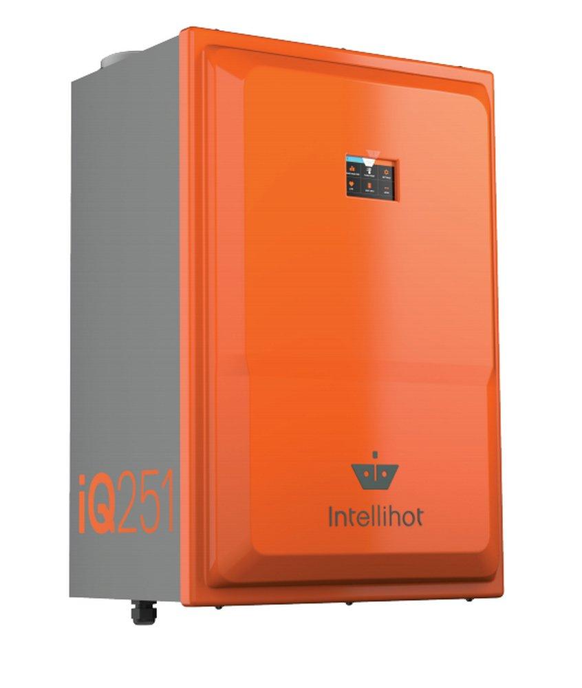 Intellihot Inc. 251 MBH Indoor or Outdoor Condensing 500W Tankless Water Heater 