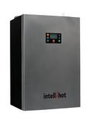 Intellihot Inc. 251 MBH Indoor or Outdoor Condensing 500W Tankless Water Heater 