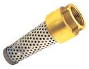 Lead Law Compliant 1/2 Bronze FOOT VALVE AND STRAINER 