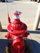 Pollardwater Lockout 