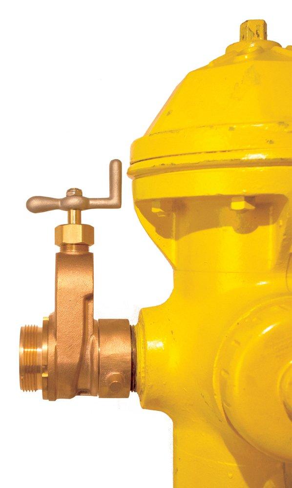 Service Brass Fittings MNST x FNST Gate Valve 