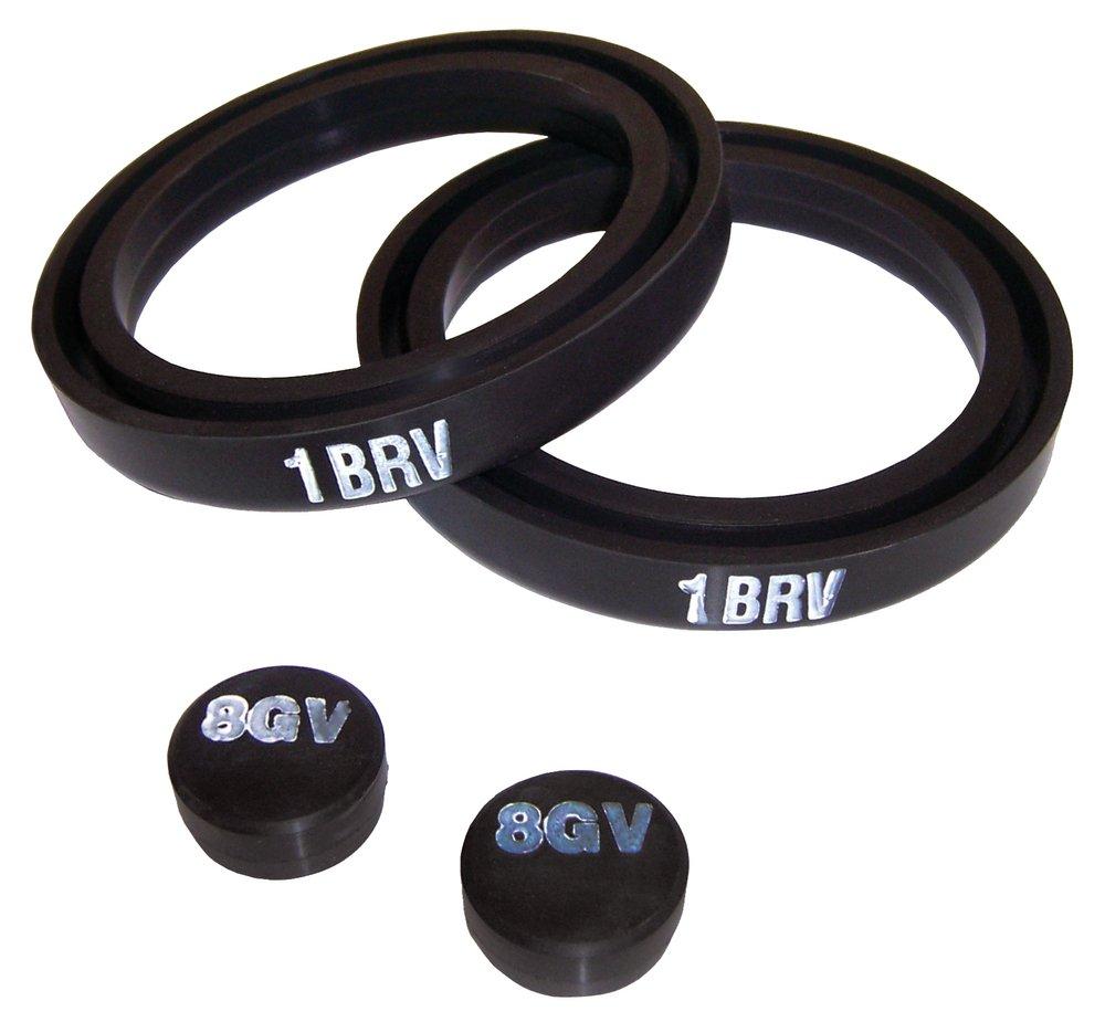 Indian Springs Manufacturing GASKET Set VITON FOR CHLORINE 