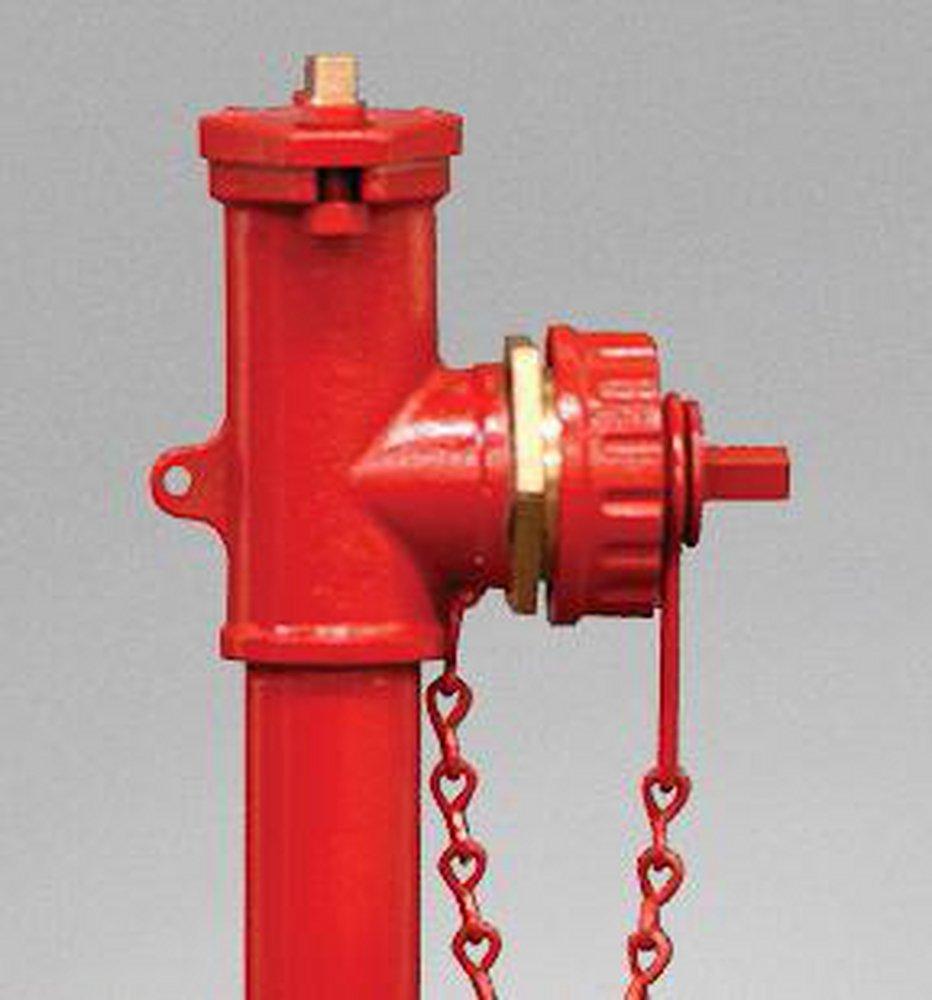 Kupferle, John C Foundry TruFlow™ TF200 FIPS x NST 2 x 2-1/2 in. Assembled Fire Hydrant 