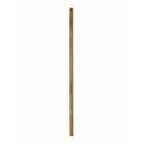 24 in. Fan Downrod