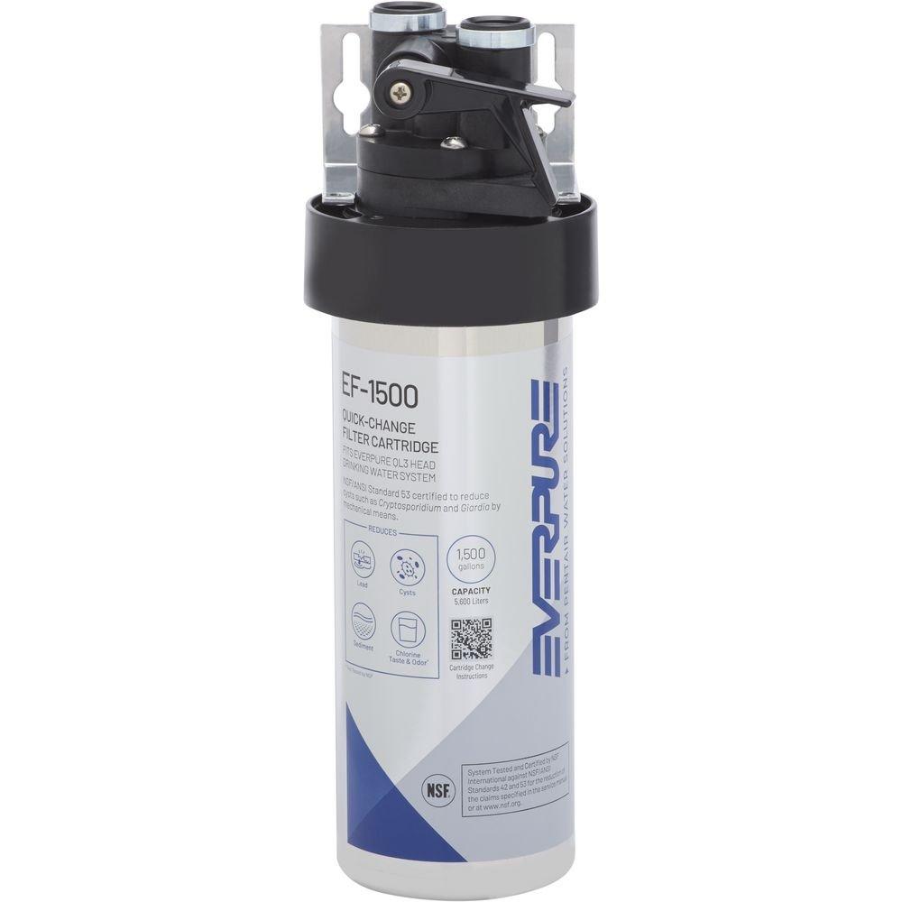 Pentair&reg; Everpure&reg; 20 in. Drinking Water Filter System 