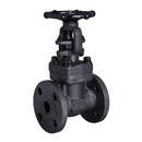 1-1/2 in. Forged Steel Reduced Port Flanged Gate Valve