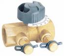 2 in. FNPT Balancing Valve