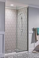 Moen Chrome Multi Function Hand Shower 