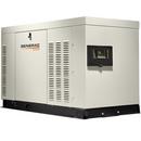 25kW Aluminum Automatic Standby Generator with Mobile Link&#8482;