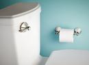 Moen Polished Nickel Wall Mount Toilet Tissue Holder 