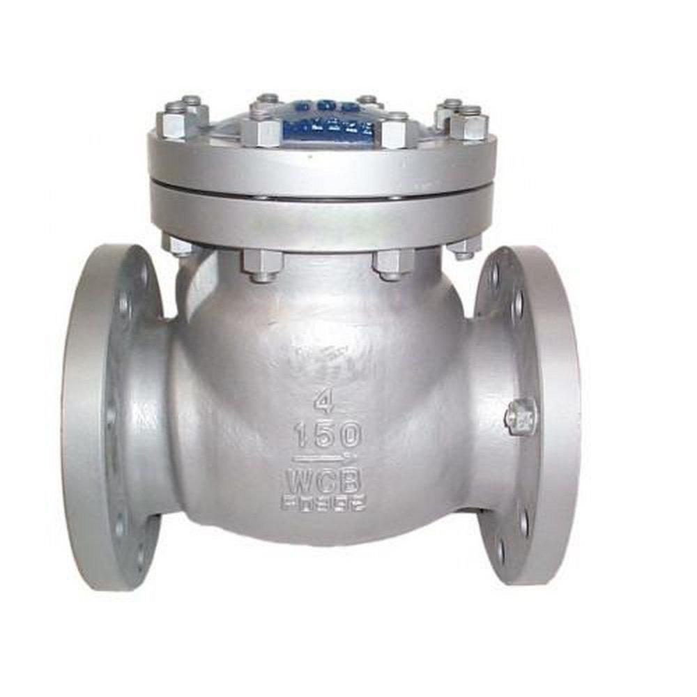 Meridian Specialties Carbon Steel Flanged Swing Check Valve 