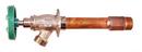 Champion-Arrowhead 1/2 x 3/4 in. FIPS and MIPS x GHT Wall Hydrant 