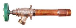 8 x 1/2 x 3/4 in. FIPS and MIPS x GHT Wall Hydrant