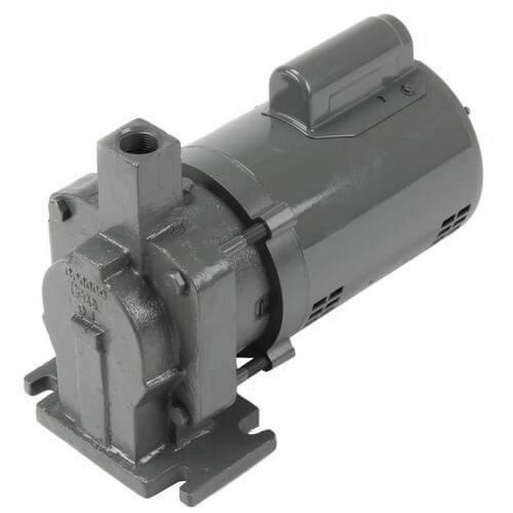 Hoffman Specialty 1/3 hp Pump & Motor Assembly 