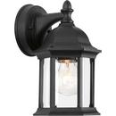 100W 1-Light Outdoor Wall Lantern in Black