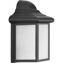 1-Light Wall Lantern in Black
