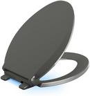 Elongated Closed Front Toilet Seat in Thunder Grey