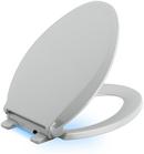 Elongated Closed Front Toilet Seat in Ice Grey