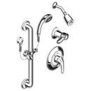 Multi Function Hand Shower in Polished Chrome