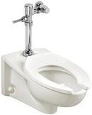 1.1 gpf Elongated Wall Mount Flushometer Toilet in White 