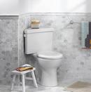 1.28 gpf Round Two Piece Toilet in White 