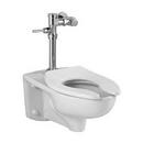 1.0 gpf/1.6 gpf Elongated Wall Mount One Piece Toilet in White