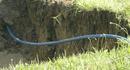 ADS&reg; Blue 200 ft. Polyethylene Drain Pipe 