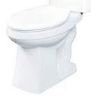 Elongated ADA Toilet Bowl in White