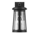 Signature Hardware Black 100W 15-7/8 in. 1-Light Medium E-26 Wall Sconce 