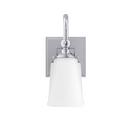 10-1/2 x 4-3/4 in. 100W 1-Light Medium E-26 Vanity Fixture in Polished Chrome