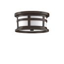 Signature Hardware Speckled Bronze 60W 2-Light Medium E-26 Outdoor Ceiling Fixture 