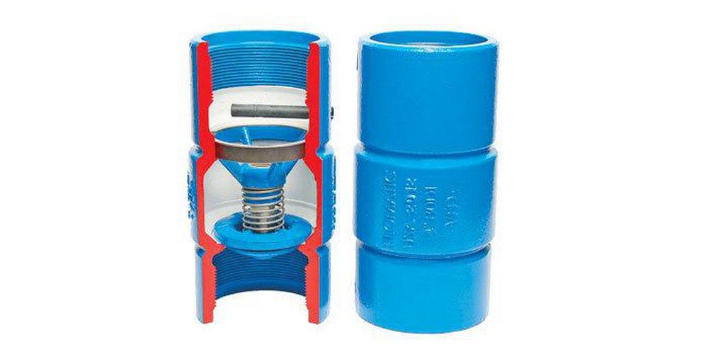 Flomatic Corp Ductile Iron FNPT Check Valve 