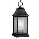 Visual Comfort & Co. Studio Dark Weathered Zinc 1-Light Outdoor Pendant 