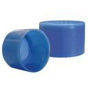 2 in. MPT LDPE End Cap with Ring in Blue