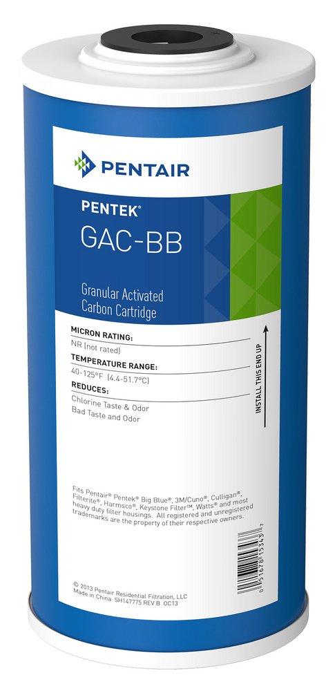 Pentair 9-3/4 x 4-1/2 in. Granular Activated Carbon Plastic 2 gpm Carbon Water Filter 