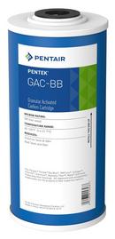 Pentair 9-3/4 x 4-1/2 in. Granular Activated Carbon Plastic 2 gpm Carbon Water Filter 