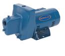 Pentair Blue Shallow Well Pump 