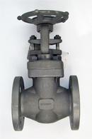 Newco Valves Forged Carbon Steel Regular Port Flanged Gate Valve 