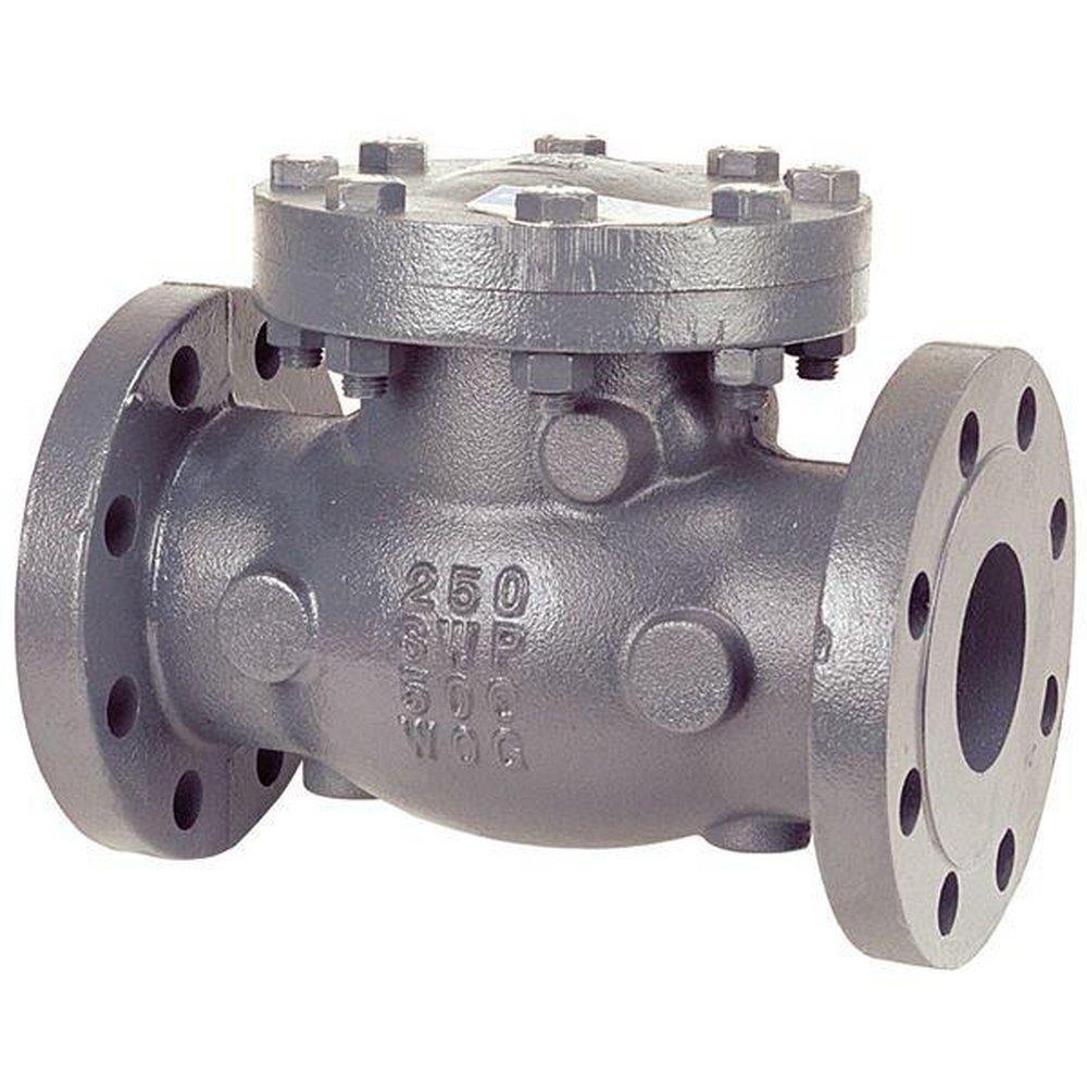 NIBCO Cast Iron Flanged Swing Check Valve 