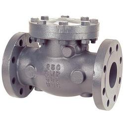 2-1/2 in. Cast Iron Flanged Swing Check Valve