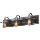 Varaluz Steel 100W 3-Light Vanity Fixture 