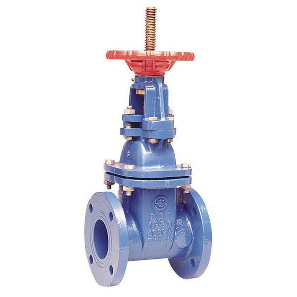 Watts Flanged Cast Iron Straight Resilient Wedge Gate Valve 